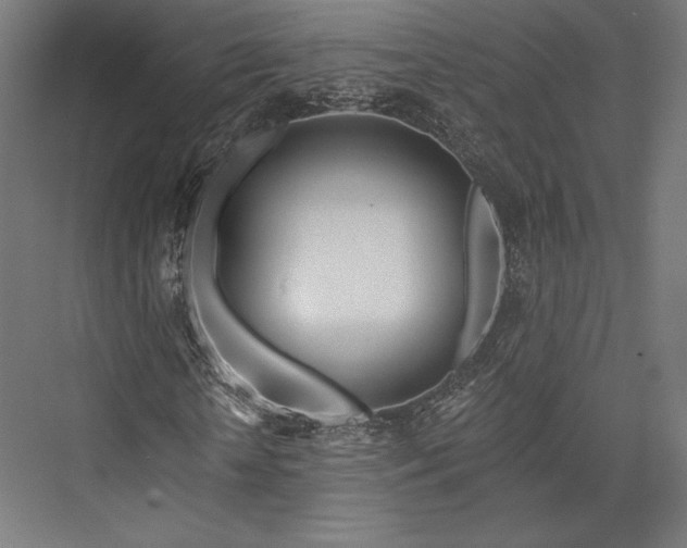 X0000076380818200610061122