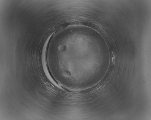 X0000076380819200610061122