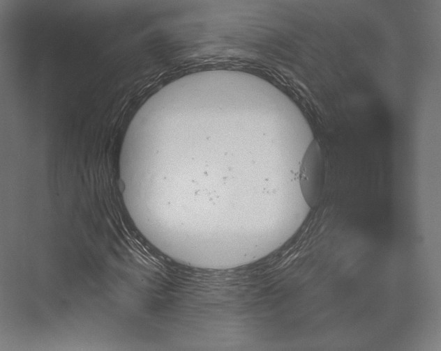 X0000076380820200610061122