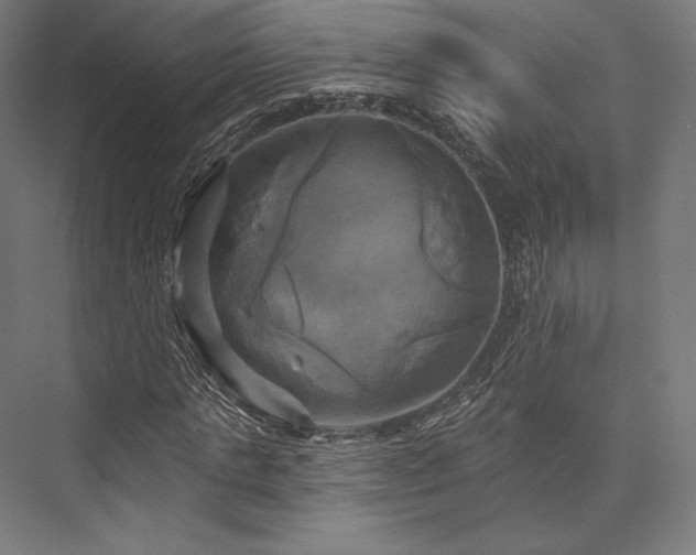 X0000076380821200610061122