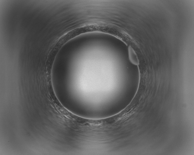 X0000076380822200610061122