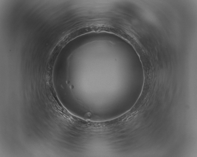 X0000076380823200610061122