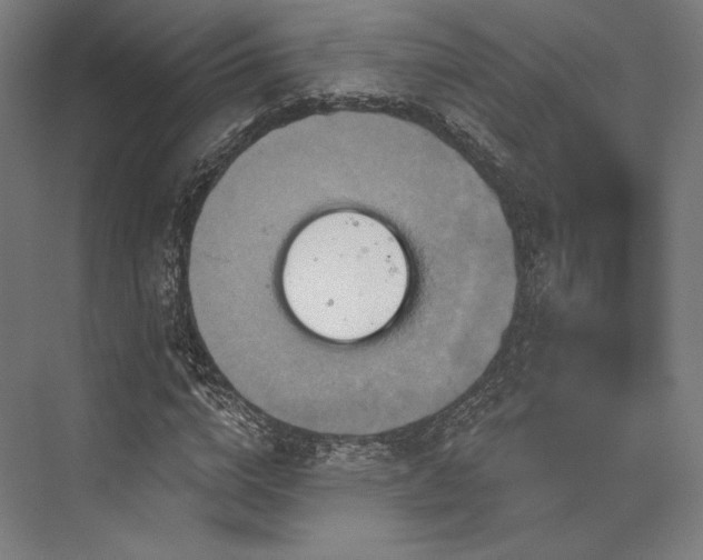 X0000076380824200610061122