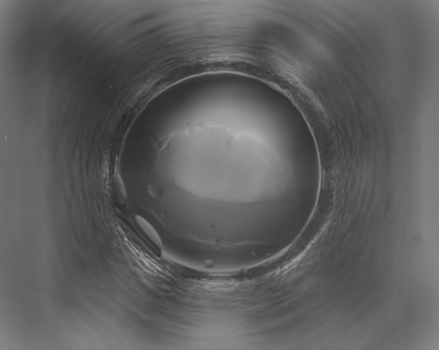 X0000076380825200610061122