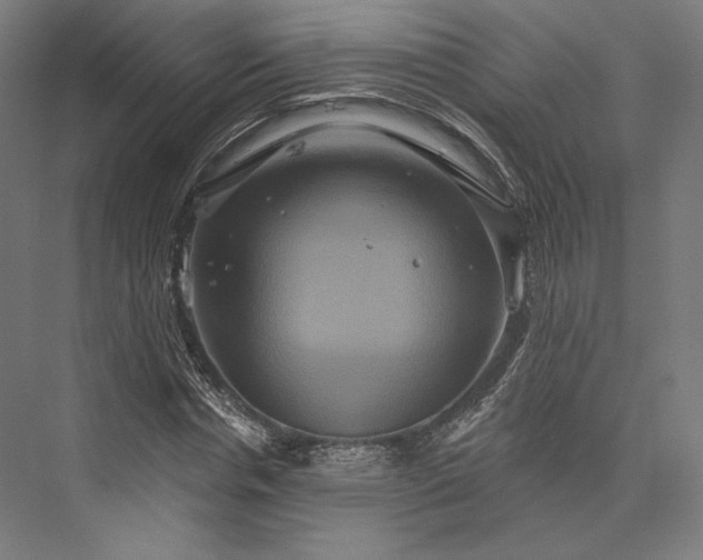 X0000076380826200610061122