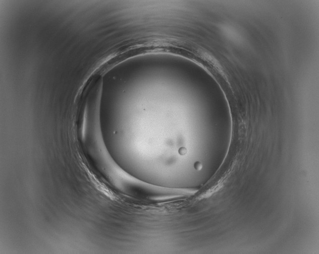 X0000076380827200610061122