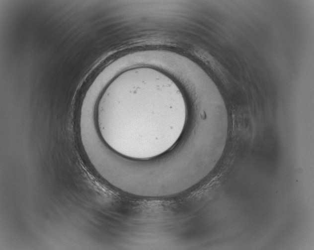 X0000076380828200610061122