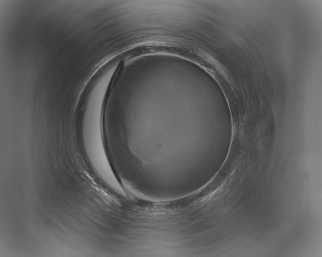 X0000076380829200610061122