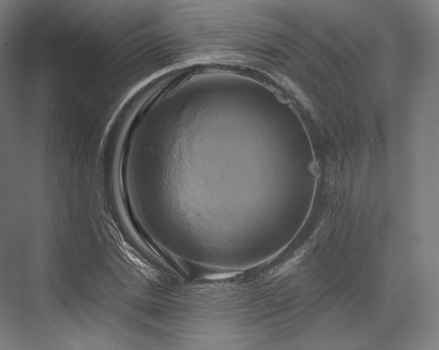 X0000076380830200610061122