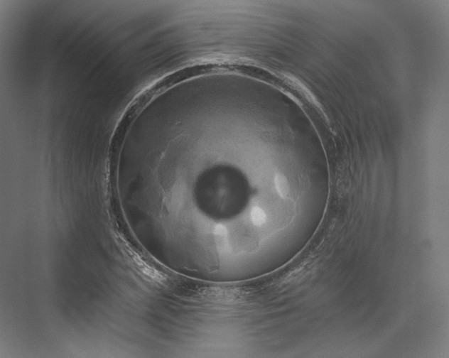 X0000076380831200610061122