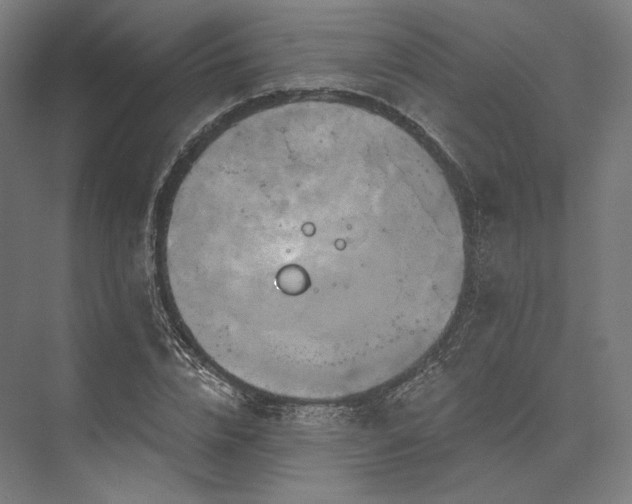 X0000076380832200610061122