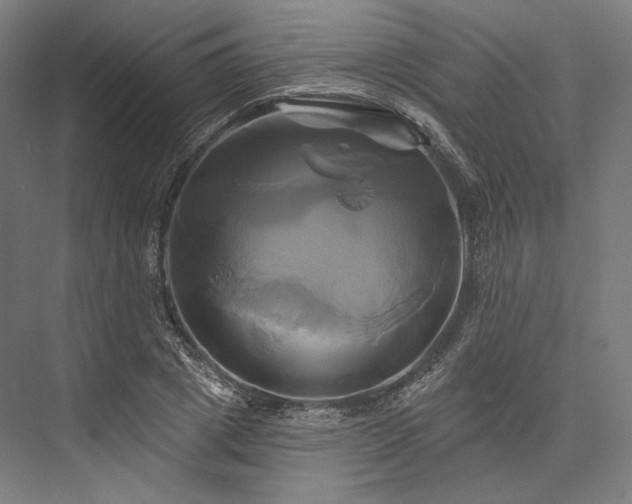 X0000076380833200610061122