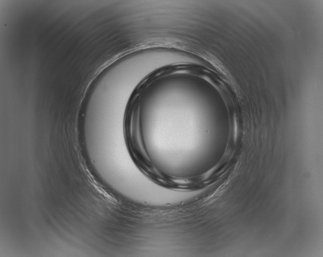 X0000076380834200610061122