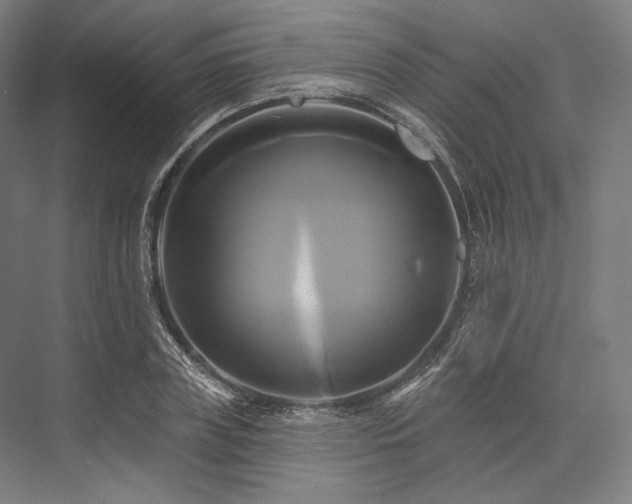 X0000076380835200610061122