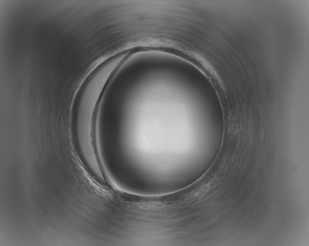 X0000076380837200610061122