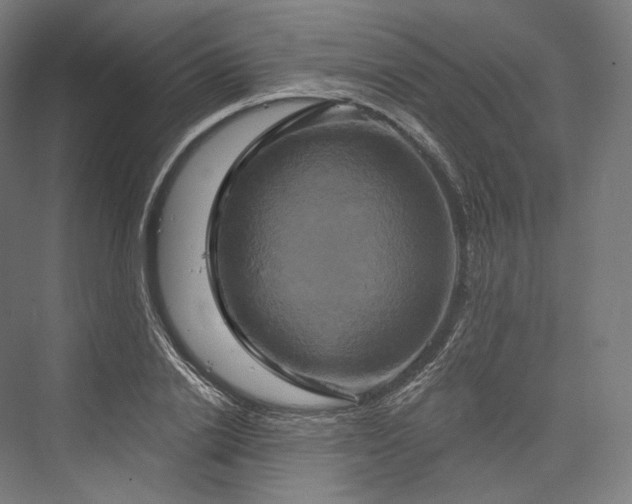 X0000076380838200610061122