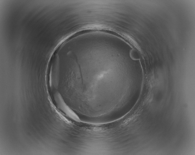 X0000076380839200610061122