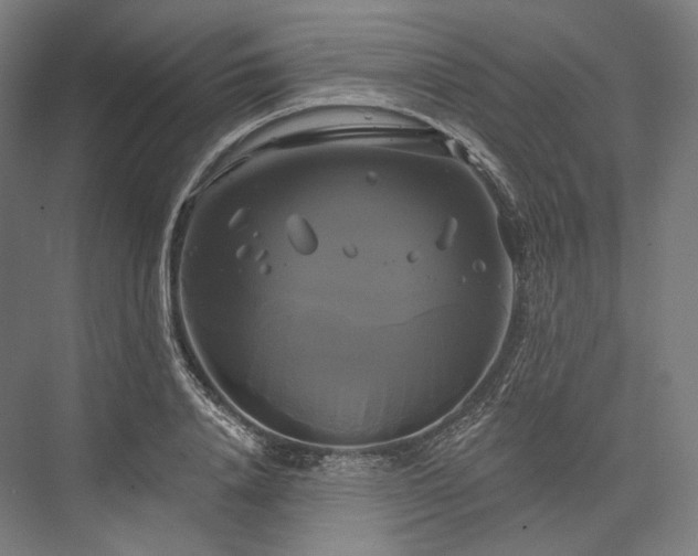 X0000076380840200610061122