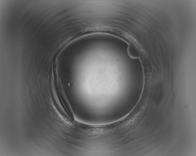 X0000076380841200610061122