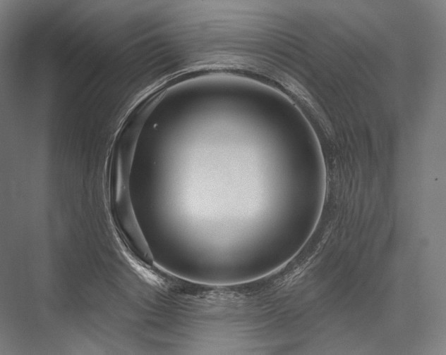 X0000076380842200610061122