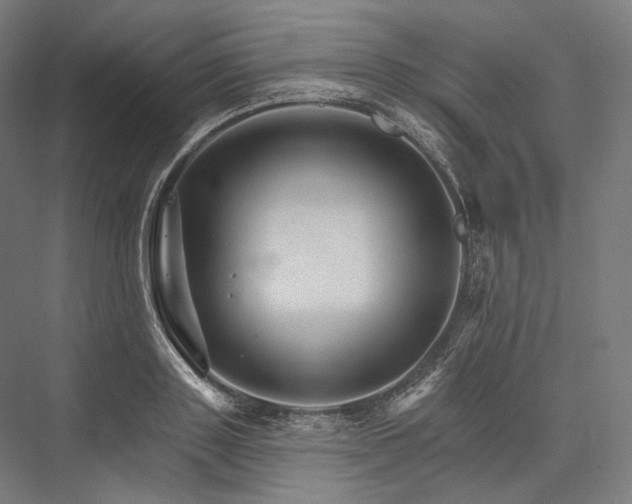 X0000076380843200610061122