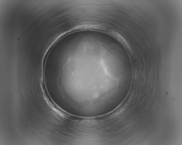 X0000076380844200610061122