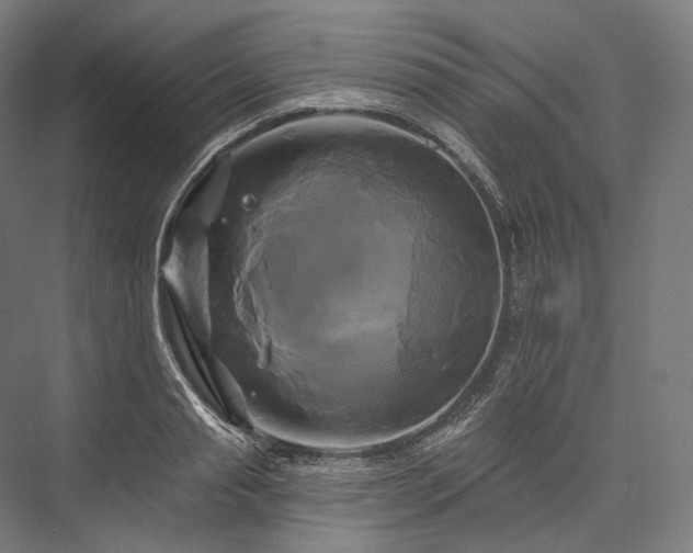 X0000076380845200610061122