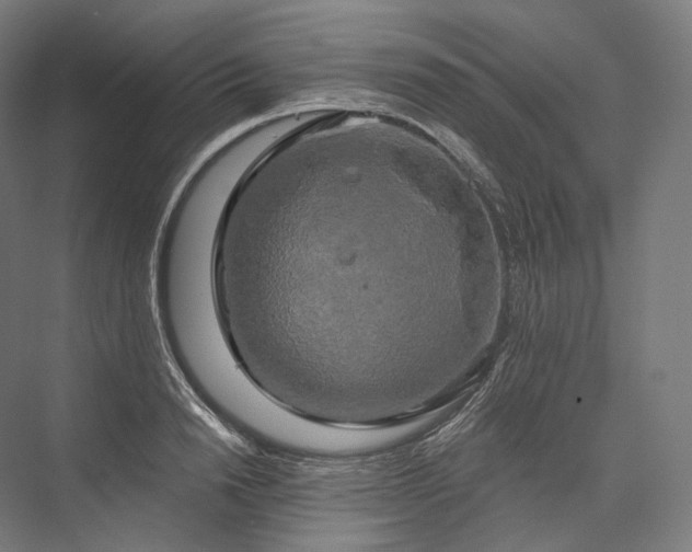 X0000076380846200610061122