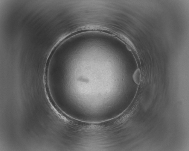 X0000076380847200610061122