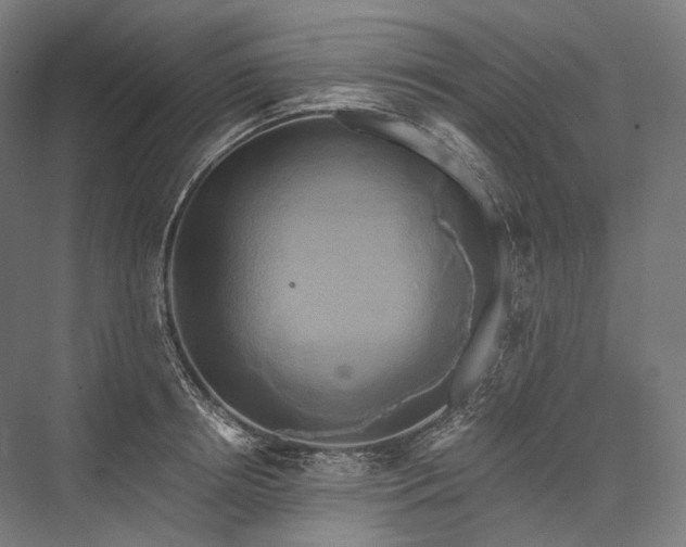 X0000076380850200610061122