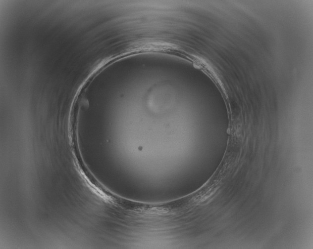 X0000076380851200610061122