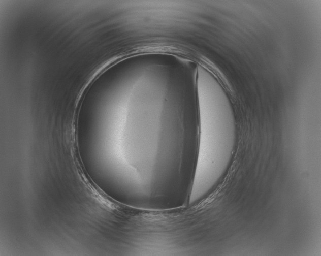 X0000076380852200610061122