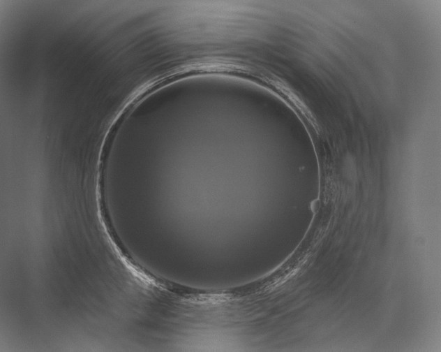 X0000076380853200610061122