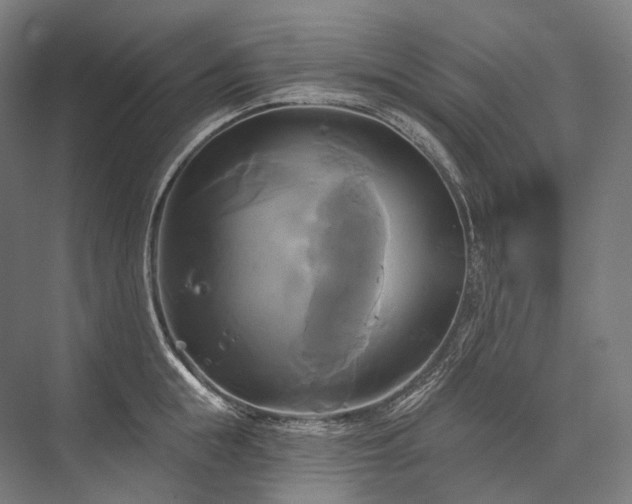 X0000076380855200610061123