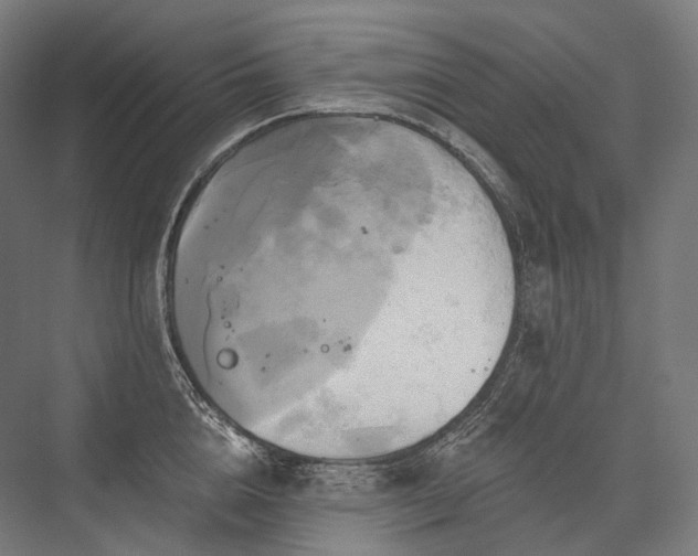 X0000076380856200610061123