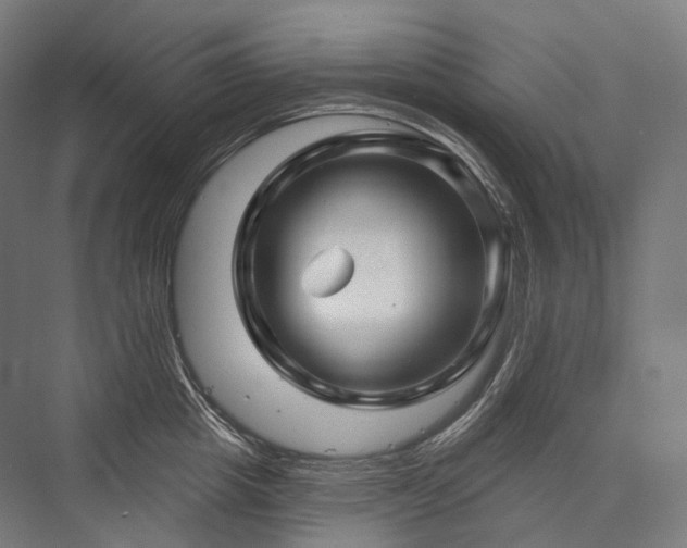 X0000076380857200610061123