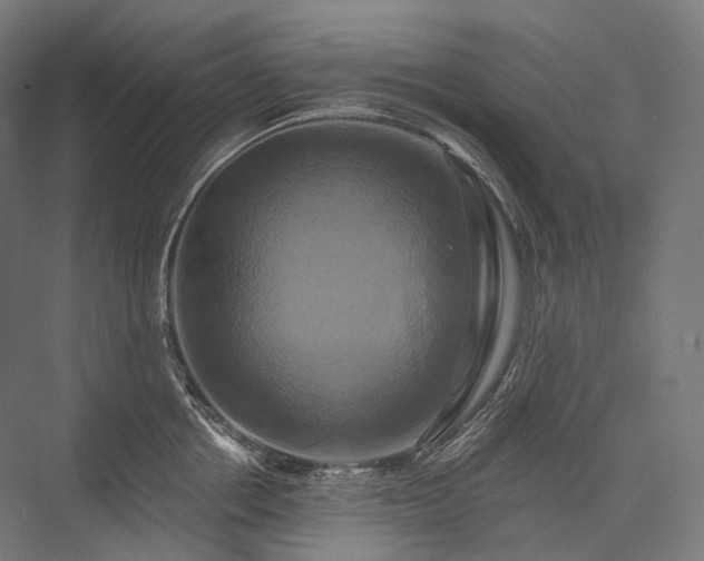 X0000076380858200610061123