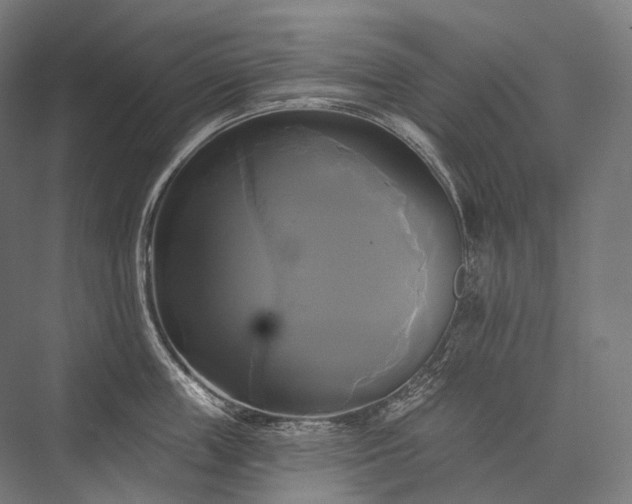 X0000076380859200610061123