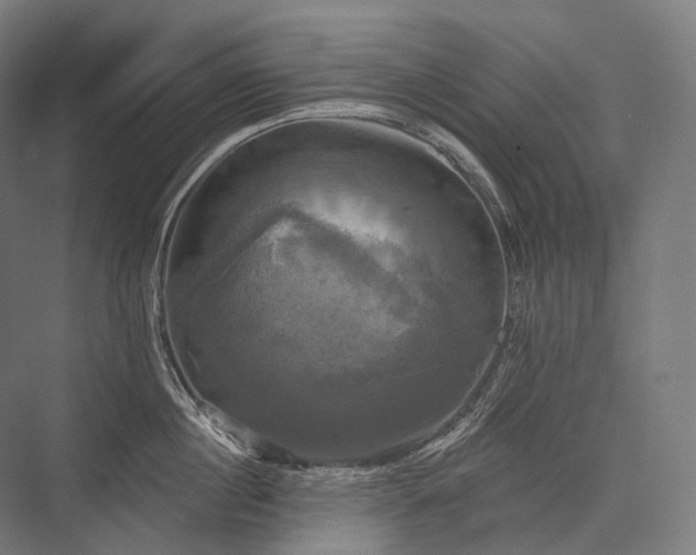 X0000076380860200610061123