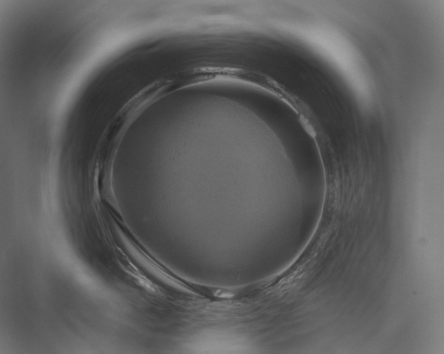 X0000076380862200610061123