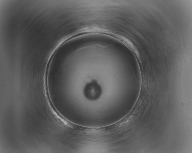 X0000076380863200610061123