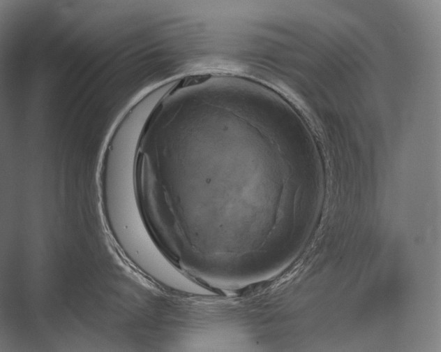 X0000076380864200610061123