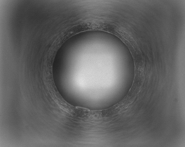 X0000076380865200610061122