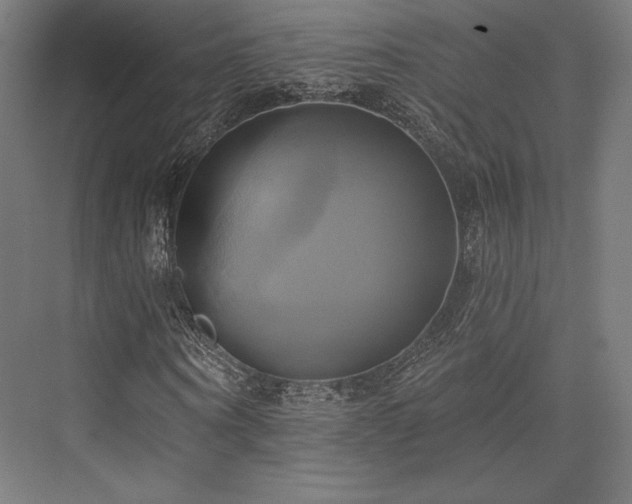 X0000076380866200610061122