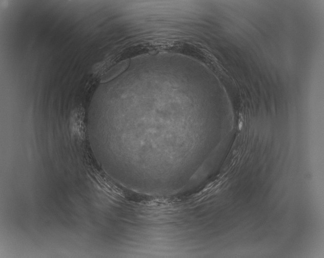 X0000076380867200610061122