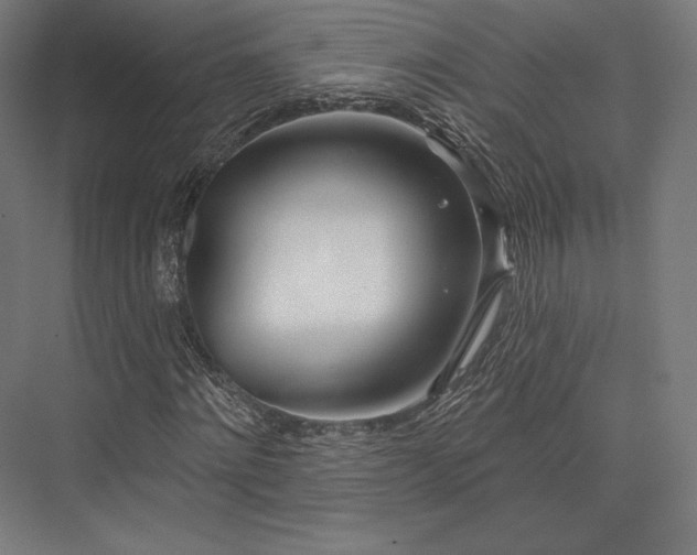 X0000076380868200610061122