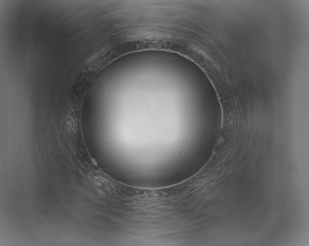 X0000076380869200610061122