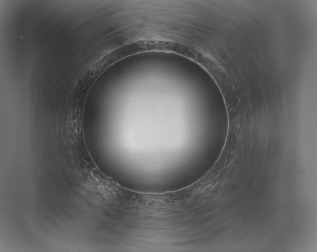 X0000076380870200610061122