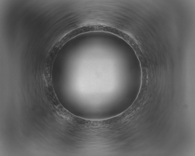 X0000076380871200610061122