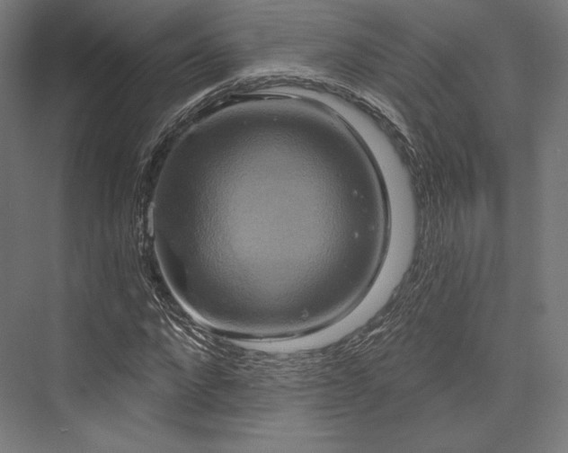 X0000076380872200610061122